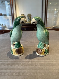 A pair of Chinese sancai parrots, Kangxi