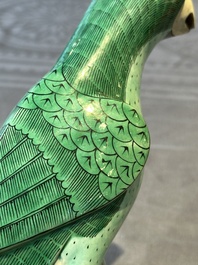 A pair of Chinese sancai parrots, Kangxi