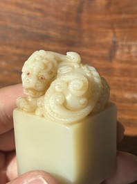 A Chinese shoushan stone 'Changchun Jushi 長春居士' seal with its original case, 18th C.