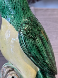 A pair of Chinese verte biscuit parrots, 19th C.