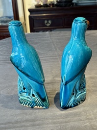 A pair of Chinese turquoise-glazed parrots, 19th C.