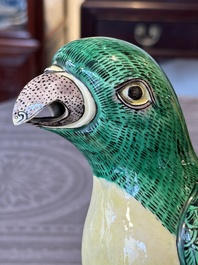 A pair of Chinese verte biscuit parrots, 19th C.