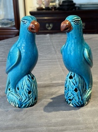 A pair of Chinese turquoise-glazed parrots, 19th C.
