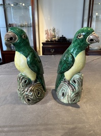 A pair of Chinese verte biscuit parrots, 19th C.