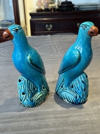 A pair of Chinese turquoise-glazed parrots, 19th C.