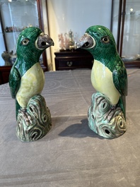 A pair of Chinese verte biscuit parrots, 19th C.