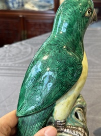 A pair of Chinese verte biscuit parrots, 19th C.