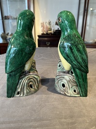 A pair of Chinese verte biscuit parrots, 19th C.