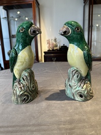 A pair of Chinese verte biscuit parrots, 19th C.