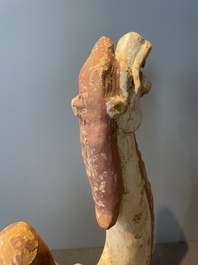 A pair of Chinese polychrome-painted terracotta camels with saddles, Tang