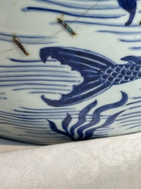 A Chinese blue and white 'carp' fishbowl, Kangxi