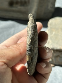 Six Gandhara grey schist fragments with divinities and floral design, 1/4th C.