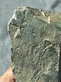 Four Gandhara grey schist fragments with Buddha and Bodhisattva, 1st/3rd C.