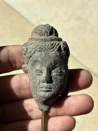 A collection of 9 Gandhara grey schist and stucco fragments of Buddha and divinities, 1/2nd C.
