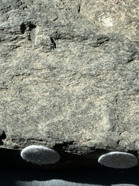 Six Gandhara grey schist fragments with divinities and floral design, 1/4th C.