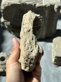 Six Gandhara grey schist fragments with divinities and floral design, 1/4th C.