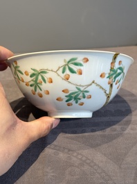 A Chinese famille verte 'goji' bowl, Daoguang mark, 20th C.