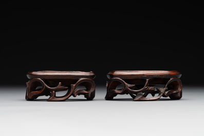 A pair of Chinese cherry amber or faturan recumbent oxen on wooden stands, Republic