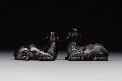 A pair of Chinese cherry amber or faturan recumbent oxen on wooden stands, Republic