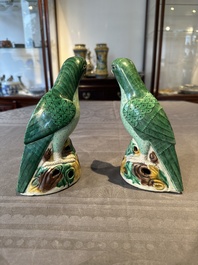 A pair of Chinese sancai-glazed parrots, Kangxi