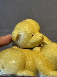 A Japanese monochrome yellow-glazed 'two playing dogs' group, 19th C.