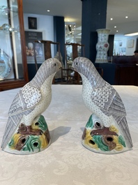 A pair of Chinese sancai-glazed parrots, Kangxi