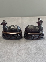 A pair of Chinese cherry amber or faturan recumbent oxen on wooden stands, Republic