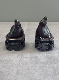 A pair of Chinese cherry amber or faturan recumbent oxen on wooden stands, Republic