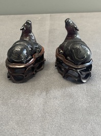 A pair of Chinese cherry amber or faturan recumbent oxen on wooden stands, Republic