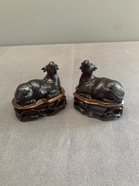 A pair of Chinese cherry amber or faturan recumbent oxen on wooden stands, Republic