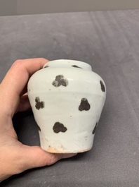Five Chinese blue and white jarlets and three russet-splashed Longquan celadon jarlets, Yuan/Ming