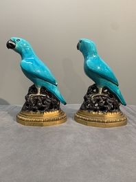 A pair of turquoise- and aubergine-glazed parrots with gilt bronze mounts, Kangxi