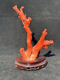 A Chinese carved red coral group with goddesses on wooden stand, 19/20th C.