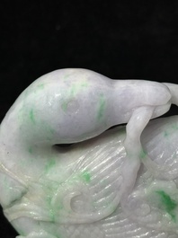 A pair of Chinese lavender- and apple-green jadeite mandarin ducks, Qing