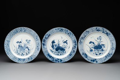 12 Chinese blue and white plates with floral design, Kangxi