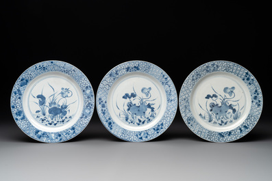 12 Chinese blue and white plates with floral design, Kangxi