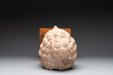 A large terracotta head of Buddha Shayamuni, Gandhara region, Kushan period, 4/5th C.
