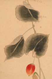 Chen Peiqiu 陳佩秋 (1922-2020): 'Autumn fruit', ink and colour on silk