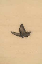 Yu Fei'an 于非闇 (1889-1959): 'Peony and butterfly', ink and colour on paper