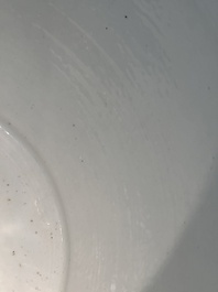 A large Chinese blue and white 'He Lu Tong Chun 鶴鹿同春' fish bowl, 19th C.