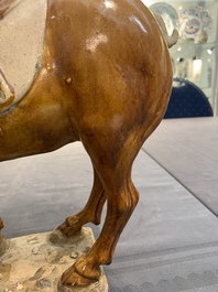 A Chinese sancai-glazed model of a horse, Tang