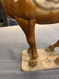 A Chinese sancai-glazed model of a horse, Tang