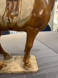 A Chinese sancai-glazed model of a horse, Tang