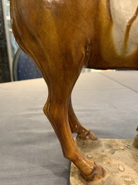 A Chinese sancai-glazed model of a horse, Tang