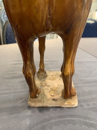 A Chinese sancai-glazed model of a horse, Tang