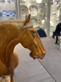 A Chinese sancai-glazed model of a horse, Tang