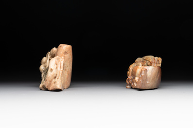 A varied collection of 11 Chinese jade and soapstone carvings, 19/20th C.