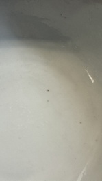 A Chinese coral-red-ground famille rose square bowl and a sgraffito-ruby-ground bowl, Qianlong and Tongzhi mark, 19/20th C.