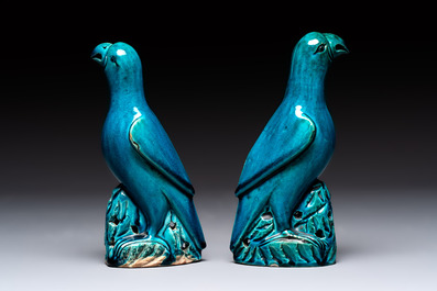 A pair of Chinese turquoise-glazed parrots, 19th C.