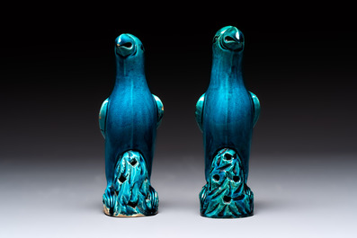 A pair of Chinese turquoise-glazed parrots, 19th C.